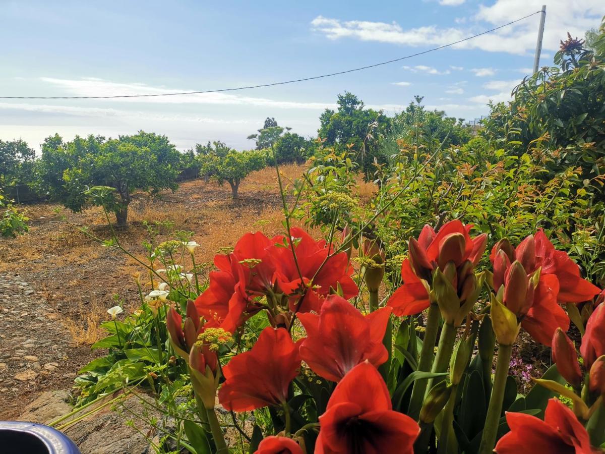 Casa Rural Dolores En Adeje Costa Adeje  Luaran gambar