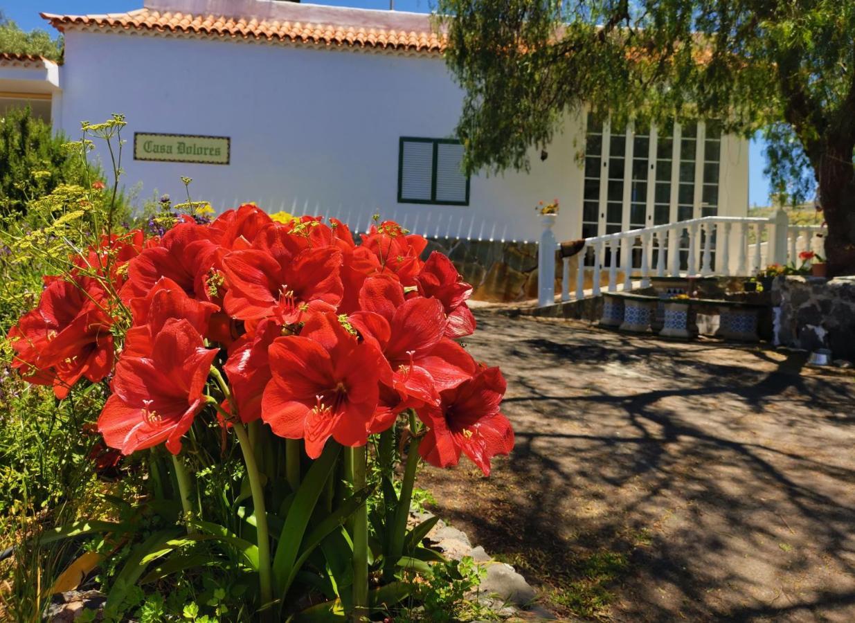 Casa Rural Dolores En Adeje Costa Adeje  Luaran gambar
